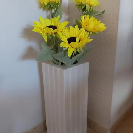 Spanish Harbor * טורבייחה