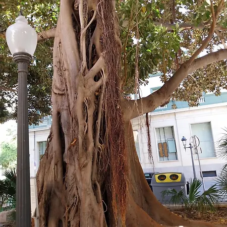 Spanish Harbor Daire *