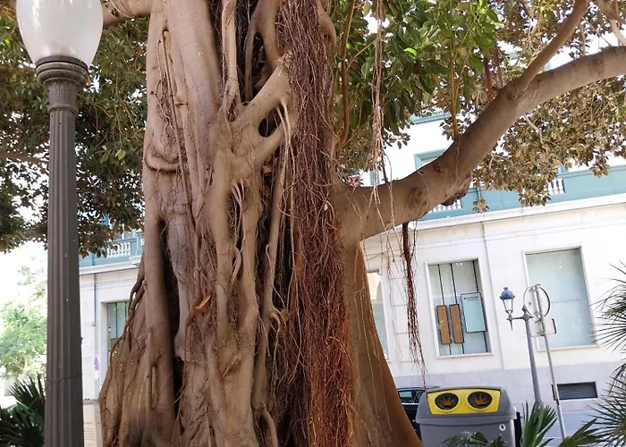 Spanish Harbor Apartment *